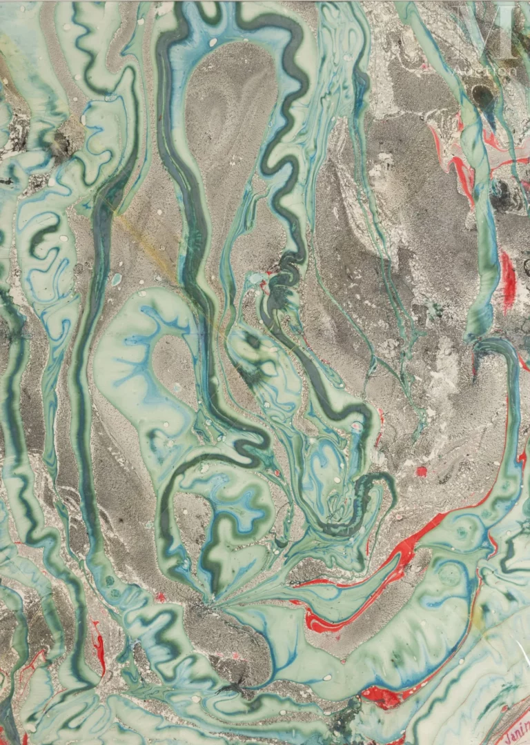 Louise JANIN – Imagination plastique et Cosmogrammes